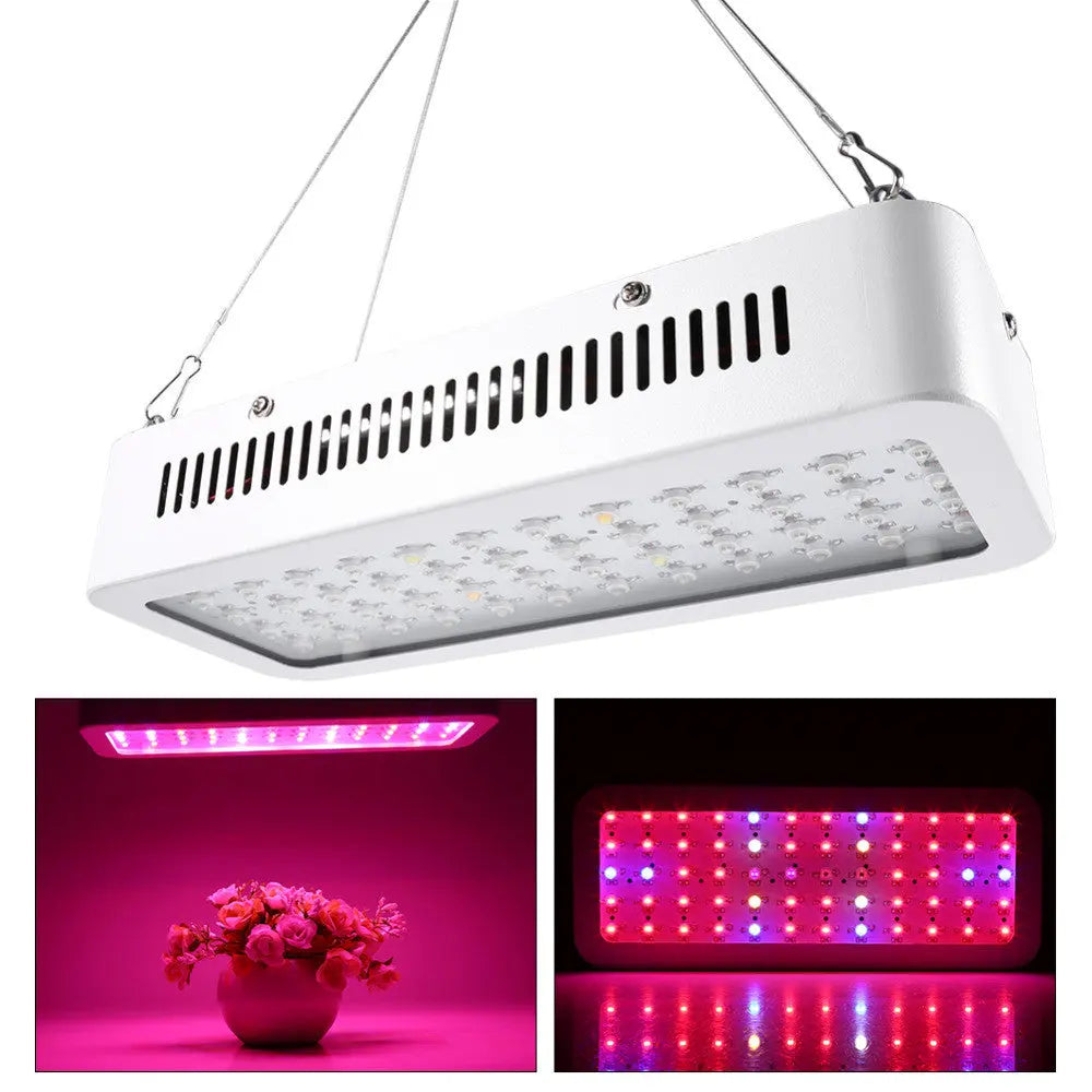 600W Full Spectrum 60 LED Plant Grow Light Awesome Imports