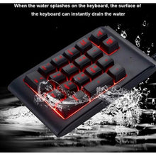 Load image into Gallery viewer, 3 Color Backlit Numeric Keypad