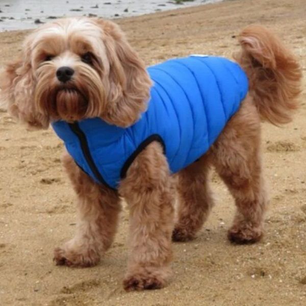 Water Resistant Winter Dog Jacket 100% Polyester Fleece