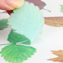 Load image into Gallery viewer, Car 3D PVC Self-adhesive Scratch Personalized Stickers, 3D