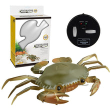 Load image into Gallery viewer, 9995 Infrared Sensor Remote Control Simulated Crab Creative Children Electric Tricky Toy Model