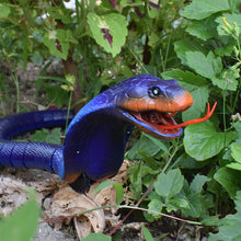 Load image into Gallery viewer, 8808B Infrared Sensor Remote Control Simulated Cobra Creative Children Electric Tricky Toy Model