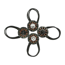 Load image into Gallery viewer, Flycolor Raptor Series Power Set, Includes 4 PCS 20A Speed Controllers + 4 PCS 2300KV Motors + 4 PCS 5045 Propellers, 2300KV