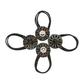 Flycolor Raptor Series Power Set, Includes 4 PCS 20A Speed Controllers + 4 PCS 2300KV Motors + 4 PCS 5045 Propellers, 2300KV