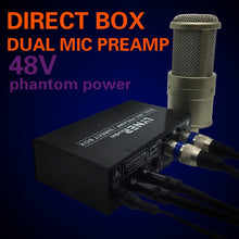 Load image into Gallery viewer, LINEPAUDIO A961 2-Channel Microphone Amplifier Electric Guitar Electric Bass Amplifier, A961