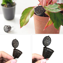 Load image into Gallery viewer, 10PCS Bonsai Tools Gardening Products Gardening Tools Bonsai Fertilizer Boxes with Cover, Large Size: 6 x 4cm, Large Size: 6 x 4cm