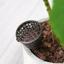Load image into Gallery viewer, 10PCS Bonsai Tools Gardening Products Gardening Tools Bonsai Fertilizer Boxes with Cover, Small Size: 4 x 3cm, Small Size: 4 x 3cm