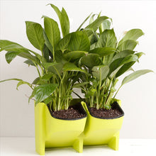 Load image into Gallery viewer, Plant Wall Vertical Indoor and Outdoor Balcony Wall-mounted Flower Pots Creative Combination of Resin Plastic Flower Pots with Removable Pot