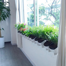 Load image into Gallery viewer, Plant Wall Vertical Indoor and Outdoor Balcony Wall-mounted Flower Pots Creative Combination of Resin Plastic Flower Pots with Removable Pot