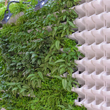 Load image into Gallery viewer, Plant Wall Vertical Indoor and Outdoor Balcony Wall-mounted Flower Pots Creative Combination of Resin Plastic Flower Pots with Removable Pot