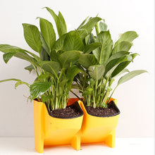 Load image into Gallery viewer, Plant Wall Vertical Indoor and Outdoor Balcony Wall-mounted Flower Pots Creative Combination of Resin Plastic Flower Pots with Removable Pot