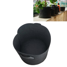 Load image into Gallery viewer, 2 Gallon Planting Grow Bag Thickened Non-woven Aeration Fabric Pot Container with Handle, 2 Gallon