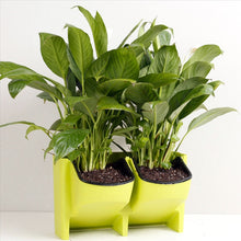 Load image into Gallery viewer, PP Planter Flower Pot Wall Hanging Garden Hanging Stackable Garden Supplies