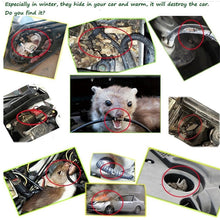 Load image into Gallery viewer, Car Mouse Control Repellent, Repels Rodents, Mice, Cockroaches, Ants &amp; Spiders, Mouse Control Repellent