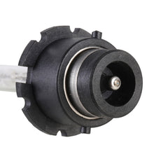 Load image into Gallery viewer, 2 PCS D4S 35W 3800 LM 4300K HID Bulbs Xenon Lights Lamps, DC 12V, D4S