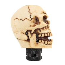 Load image into Gallery viewer, Universal Car Skull Shape Shifter Manual Automatic Gear Shift Knob, Skull Head Shape 16
