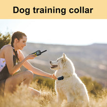 Load image into Gallery viewer, Tsattine T10 IP68 Waterproof 2000FT Dog Training Device with LCD Light, T10
