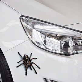 A20 Animal Pattern Car Body Random Stickers, A20