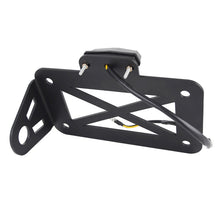 Load image into Gallery viewer, Motorcycle American Cruise Retro License Plate Holder with Light, License Plate Holder