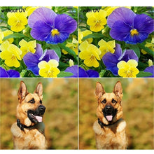 Load image into Gallery viewer, JUNESTAR for Xiaomi Xiaoyi Yi II 4K Sport Action Camera Proffesional 37mm UV Filter + Lens Protective Cap, UV Filter+Lens Cap