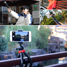 Load image into Gallery viewer, MZ305 Mini Octopus Flexible Tripod Holder with Ball Head for SLR Cameras, DJI / Insta360 / GoPro and Other Action Camera, Size:30cmx5cm, MZ305