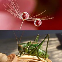 Load image into Gallery viewer, For GoPro HERO5 Sport Action Camera Proffesional 52mm 10X Macro Lens Close-up Filter