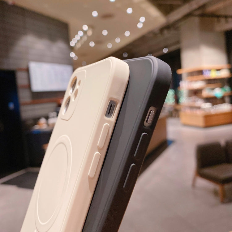 Liquid Silicone Full Coverage Shockproof Magsafe Case, For iPhone 12 mini, For iPhone 12, For iPhone 12 Pro, For iPhone 12 Pro Max