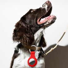 Load image into Gallery viewer, Silicone Case with Keychain Ring for AirTag