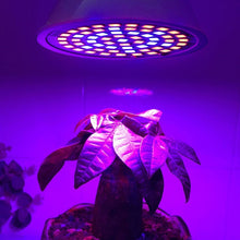 Load image into Gallery viewer, 20W 60 LEDs Plant Growth LED Bulb, E27, E14