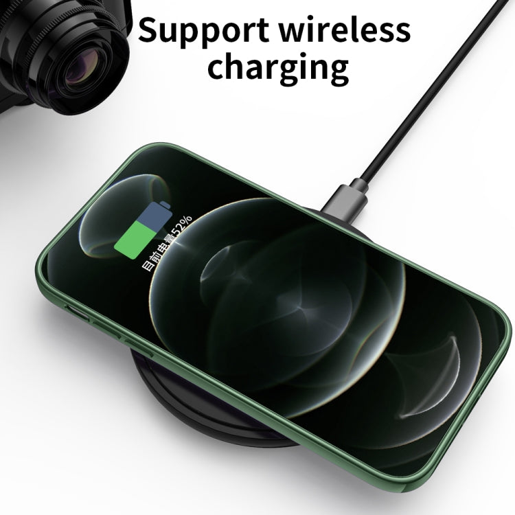 Ultra-thin Electroplating Dandelion Pattern Protective Case, For iPhone 11, For iPhone 11 Pro, For iPhone 11 Pro Max, For iPhone 12 Pro Max, For iPhone 12 Pro, For iPhone 12, For iPhone 12 Mini