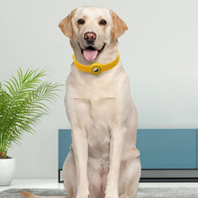 Load image into Gallery viewer, Pet Collar Anti-scratch Shockproof Silicone Protective Cover Case, For AirTag