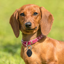 Load image into Gallery viewer, Location Tracker Anti-lost Portable Silicone Protective Case for Samsung Galaxy Smart Tag