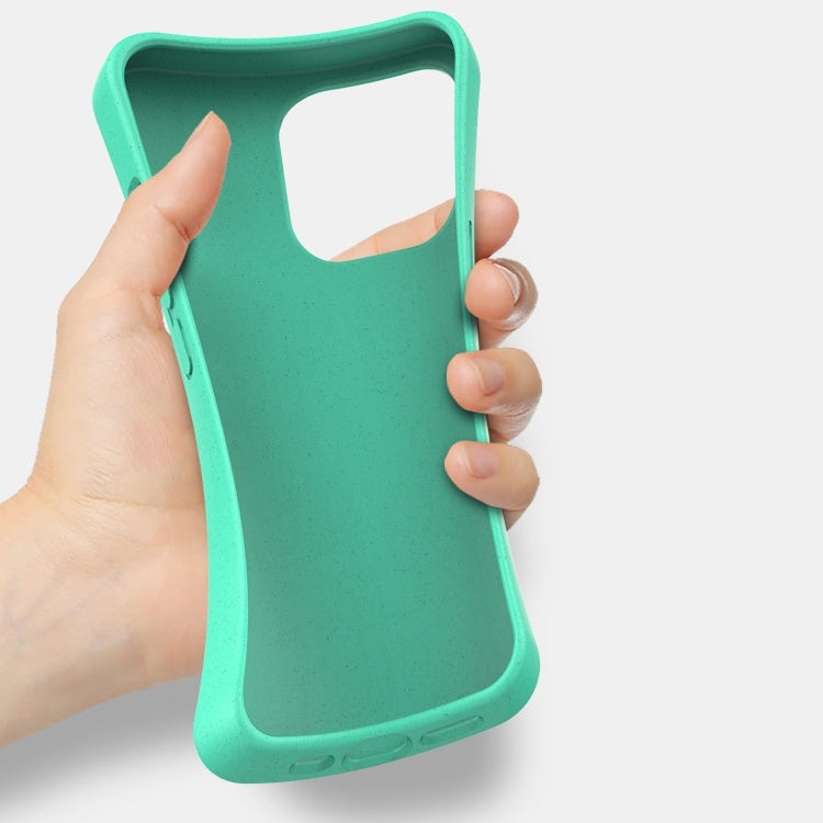 Starry Series Shockproof Straw Material + TPU Protective Case, For iPhone 13 mini, For iPhone 13 Pro Max, For iPhone 13 Pro, For iPhone 13