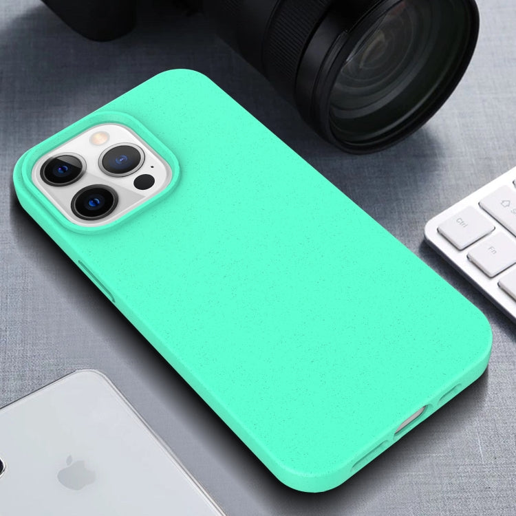 Starry Series Shockproof Straw Material + TPU Protective Case, For iPhone 13 mini, For iPhone 13 Pro Max, For iPhone 13 Pro, For iPhone 13