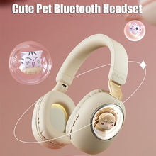 Load image into Gallery viewer, B4 RGB Cartoon Stereo Headset Wireless Bluetooth Headphones, Cat, Squirrel