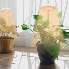 Load image into Gallery viewer, 10W 48 LEDs Succulent Plant Grow Fill Light, Angel Ring, Bee, Round Tube