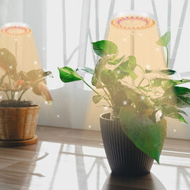 10W 48 LEDs Succulent Plant Grow Fill Light, Angel Ring, Bee, Round Tube