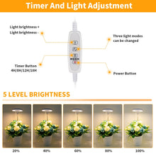Load image into Gallery viewer, 10W 48 LEDs Succulent Plant Grow Fill Light, Angel Ring, Bee, Round Tube