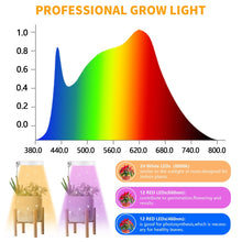 Load image into Gallery viewer, 10W 48 LEDs Succulent Plant Grow Fill Light, Angel Ring, Bee, Round Tube