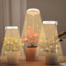 Load image into Gallery viewer, 10W 48 LEDs Succulent Plant Grow Fill Light, Angel Ring, Bee, Round Tube