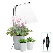 Load image into Gallery viewer, 10W 48 LEDs Succulent Plant Grow Fill Light, Angel Ring, Bee, Round Tube