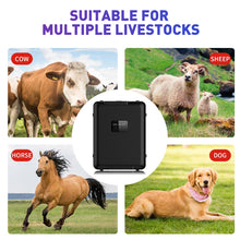 Load image into Gallery viewer, Multifunctional Waterproof Livestock Locator Tracker, V55 30000mAh, V55 20000mAh