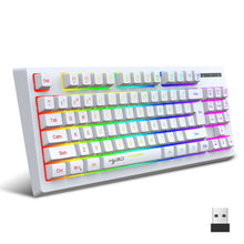 Load image into Gallery viewer, HXSJ L100 87 Keys RGB Backlit Film 2.4G Wireless Keyboard