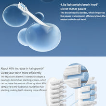 Load image into Gallery viewer, Original Xiaomi Mijia 3pcs Brush Head Standard Type for Sonic Electric Toothbrush T301 / T302, T301 &amp; T302 Brush (White), T301 &amp; T302 Brush (Black)