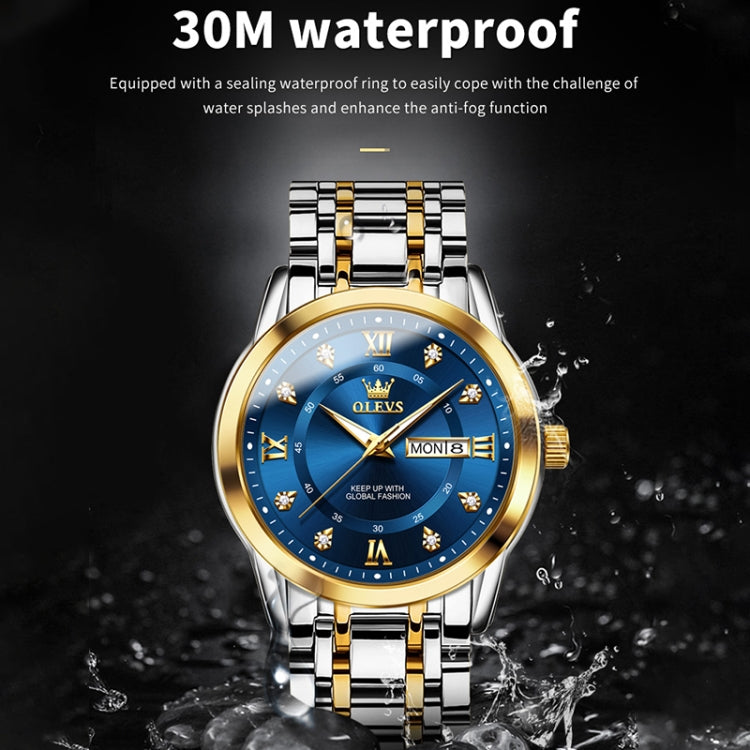 OLEVS 5513 Men Business Luminous Waterproof Quartz Watch