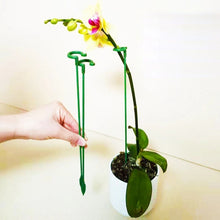 Load image into Gallery viewer, 10pcs Plant Potted Flower Shape Support Rod Fixed Anti-lodging Leaf Guard Frame, 17cm, 27cm, 37cm, 48cm, 58cm