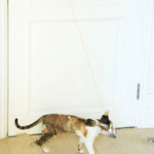 Load image into Gallery viewer, Hanging Door Retractable Cat Teaser Stick Pet Toy