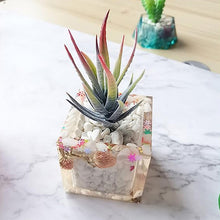 Load image into Gallery viewer, 3 Cups Love Ice Tray Silicone Mold Succulent Plaster Mold, Random Color Delivery