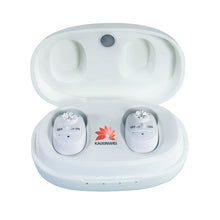 Load image into Gallery viewer, KAIXINWEI VHP-1607B DC3.7V In-ear Hearing Aid Sound Amplifier