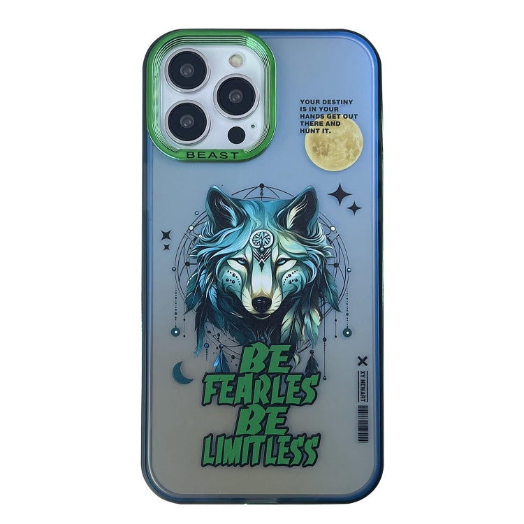 Aurora Series Painted Pattern Phone Case, For iPhone 13, For iPhone 12, For iPhone 12 Pro Max, For iPhone 12 Pro, For iPhone 11